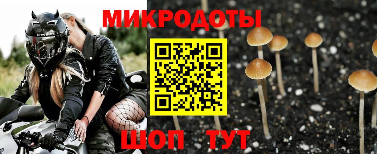 Галлюциногенные грибы мицелий Бахчисарай